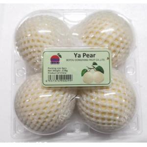 chinese pear-4pcs