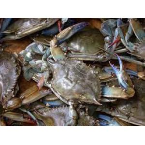 Greece Crab-500g