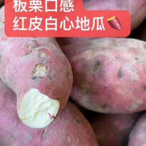 Sweet potato-per kg